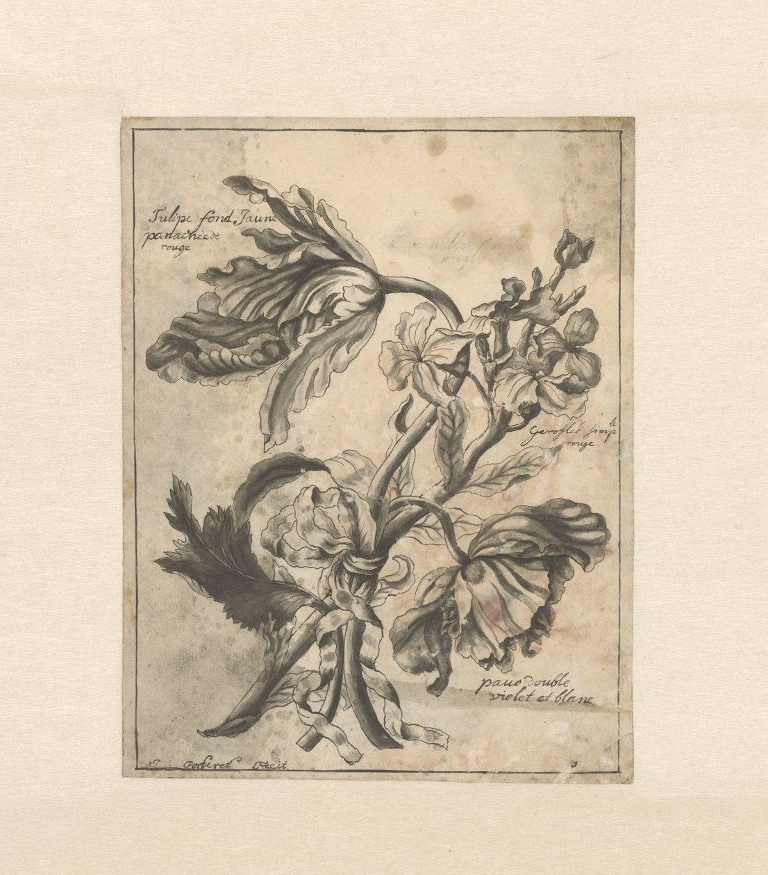 Blomster bundet sammen med et bånd Tulipe fond Jaune / Panachée de rouge / Giroflée simple rouge / (...) dobbel fiolett et blanc (tittel på objekt) av J. Porteret