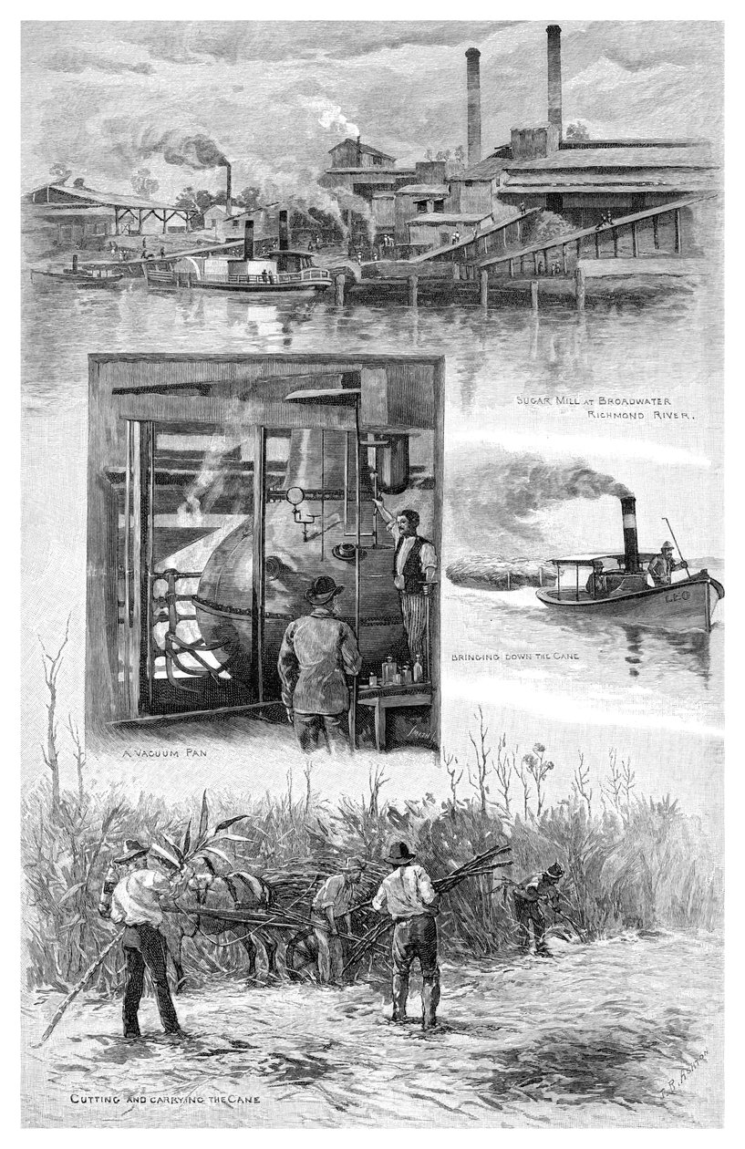 Sukkerindustrien, Richmond River, New South Wales, Australia, 1886. av J. R. Ashton
