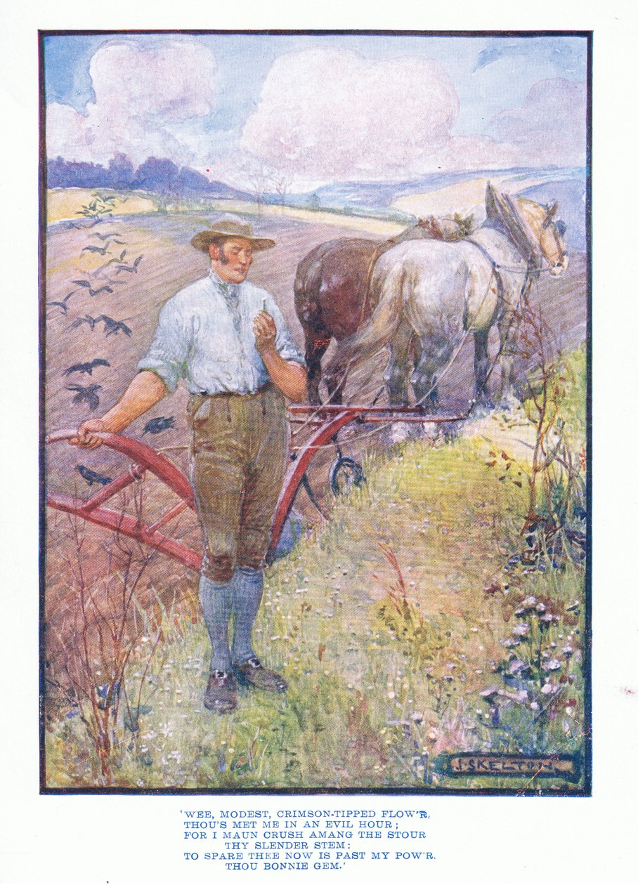 Små beskjeden, crimson tipped flower, fra English Literature pub.av T C & EC Jack, ca. 1920 av J. R. Skelton