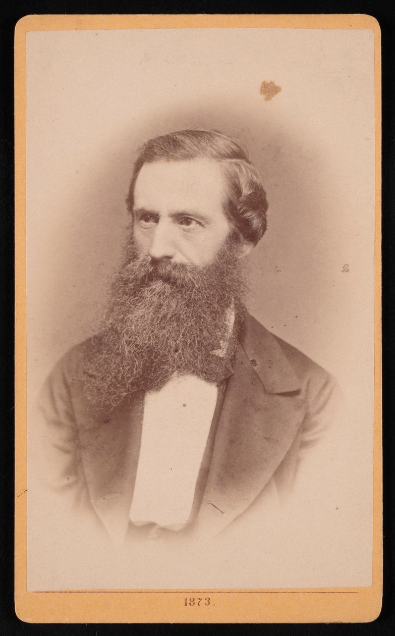 Portrett av Mordecai Cubitt Cooke 1825-1914, 1873. av J Stegmann