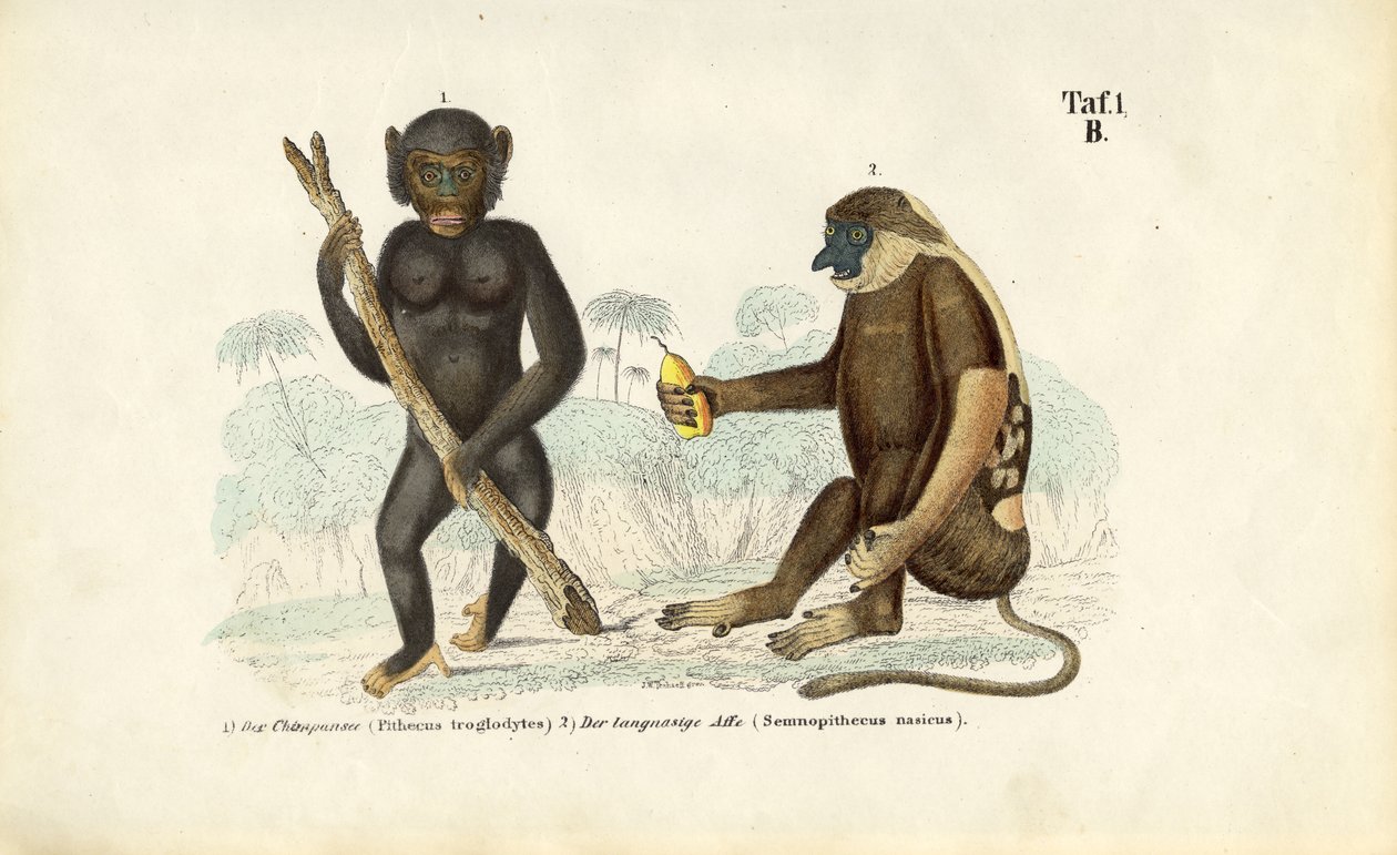  av J. W. Tenhaeff