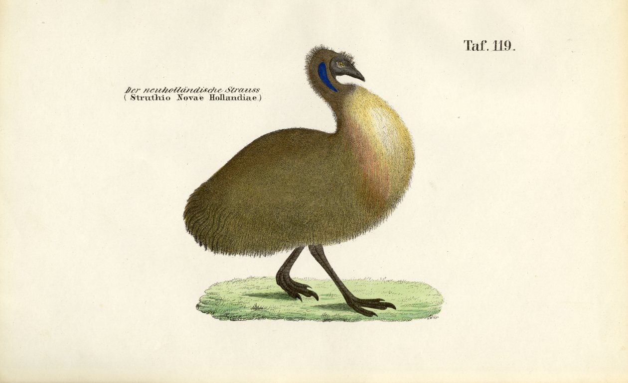  av J. W. Tenhaeff