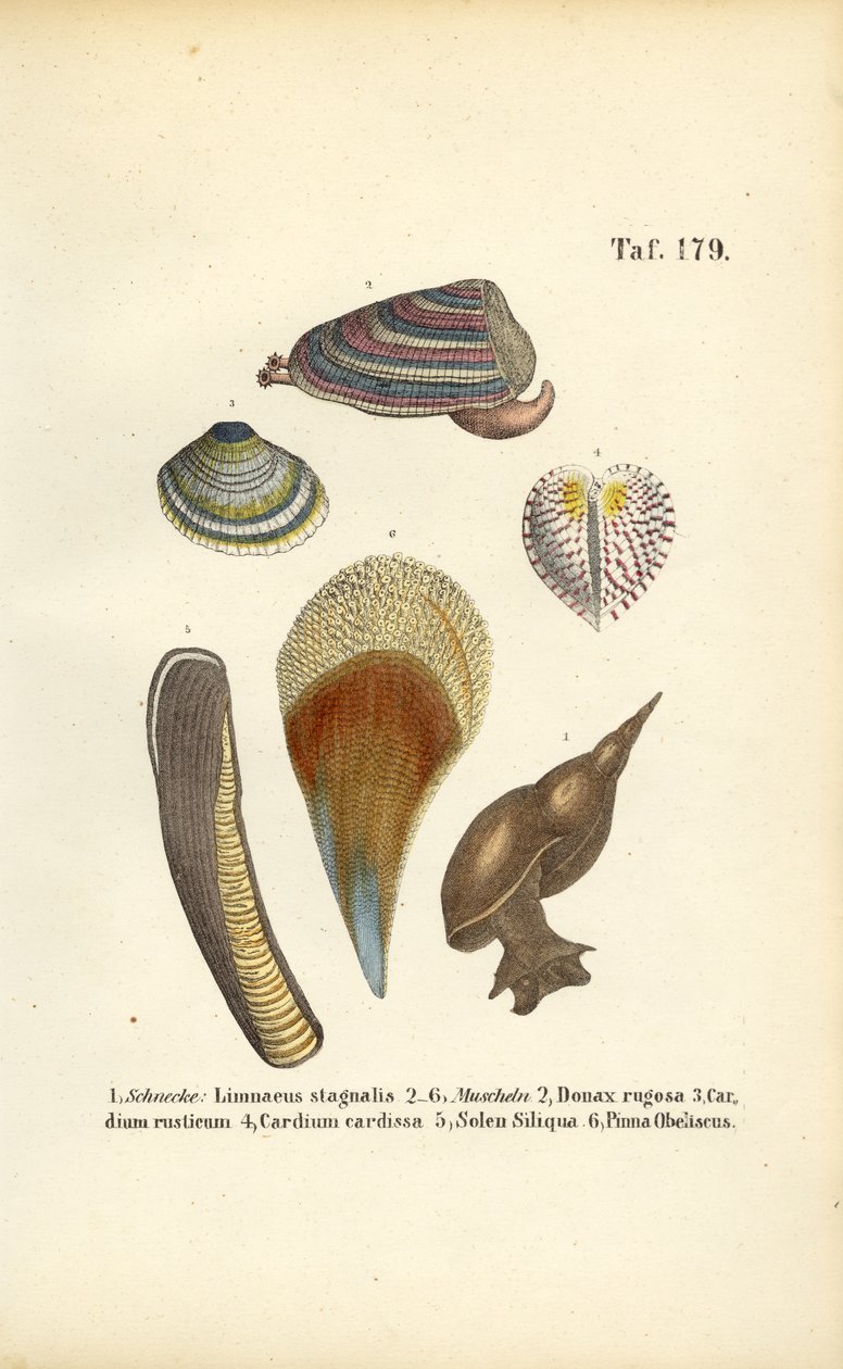  av J. W. Tenhaeff