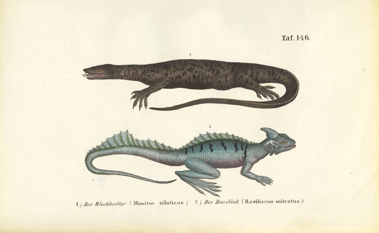 Nil-monitor og fjærbasilisk av J. W. Tenhaeff