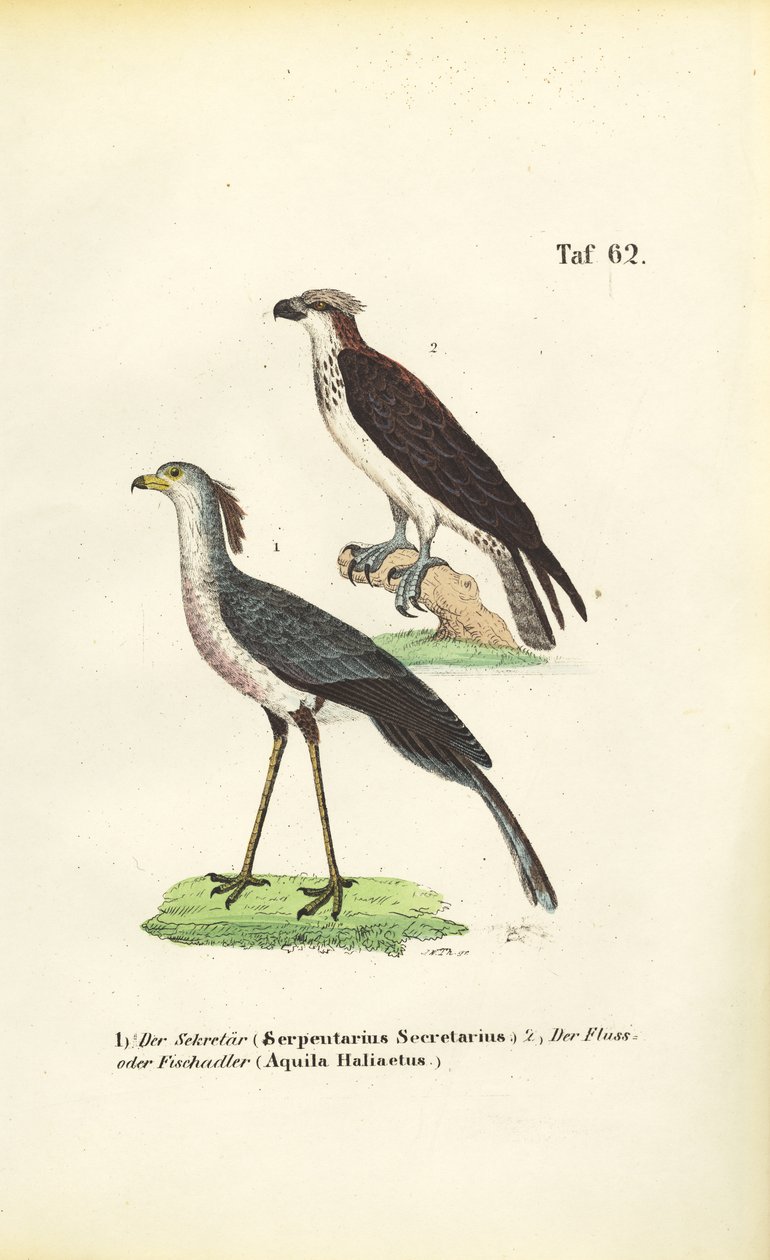  av J. W. Tenhaeff