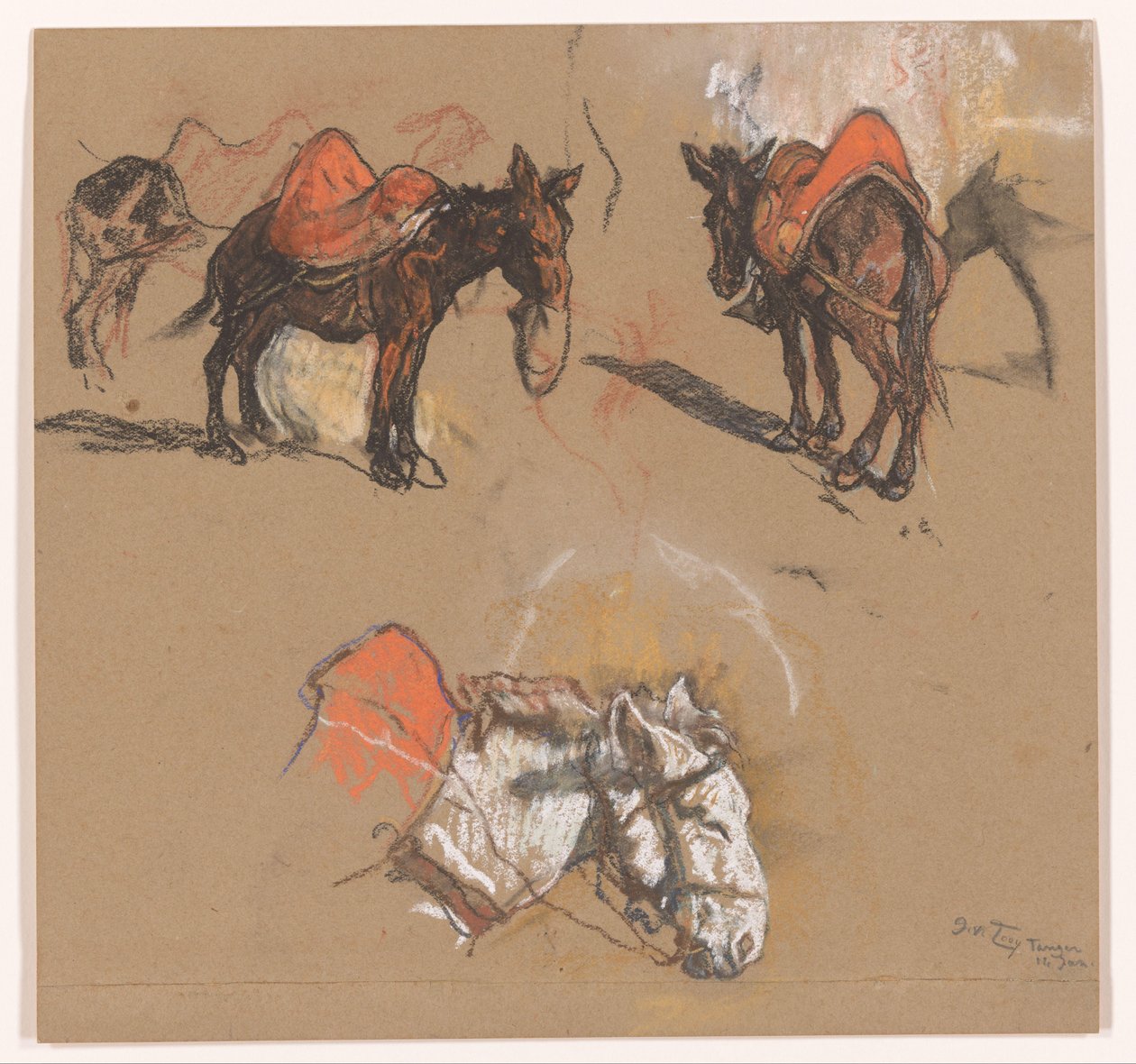 Studier av esler og et muldyr på Grote Markt i Tanger av Jac van Looij (signed by artist)