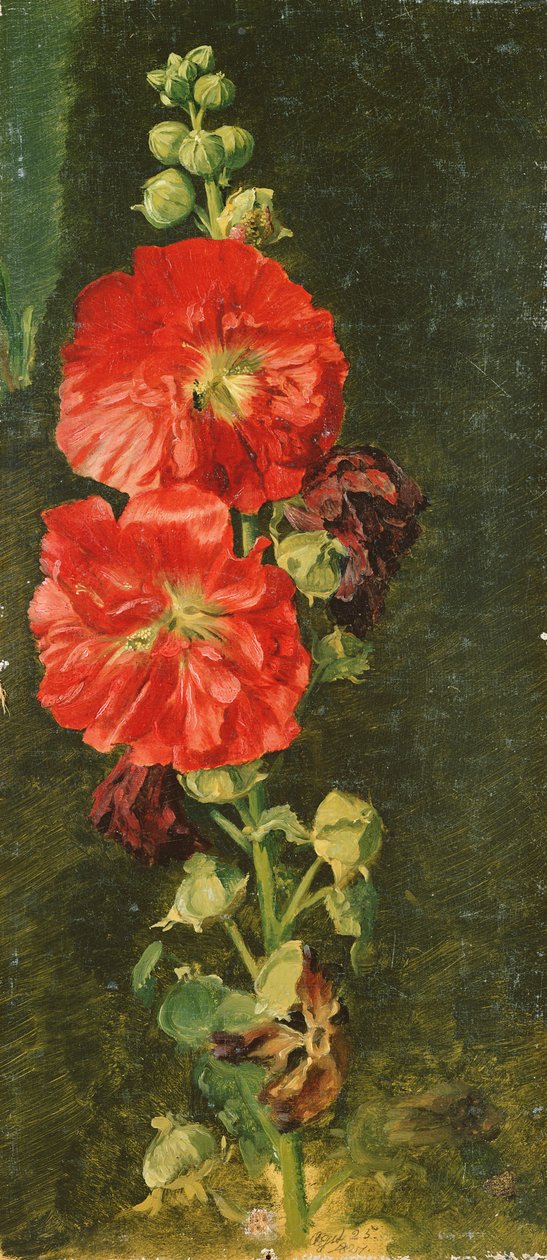A Stockrose, 1827 av Jacob Gensler