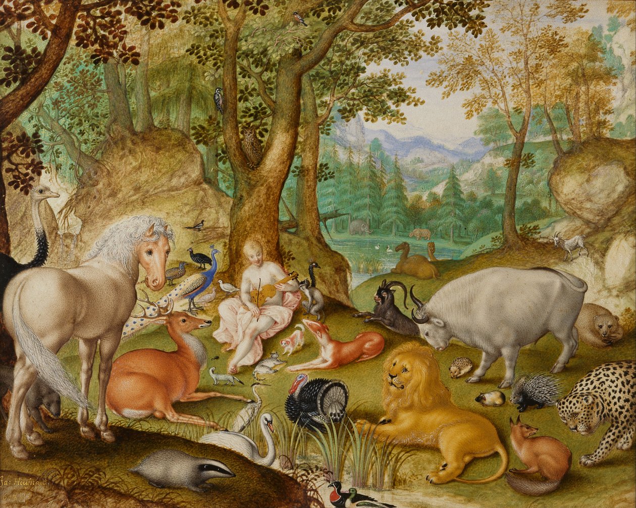 Orfeus sjarmerende dyrene av Jacob Hoefnagel