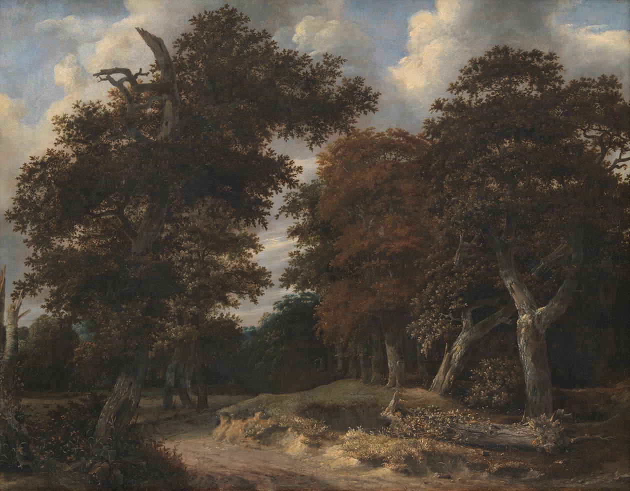Veien gjennom en eikeskog av Jacob van Ruisdael