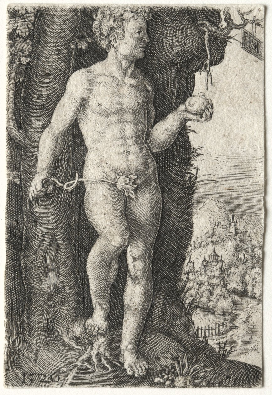 Adam, 1526. av Jacob Binck