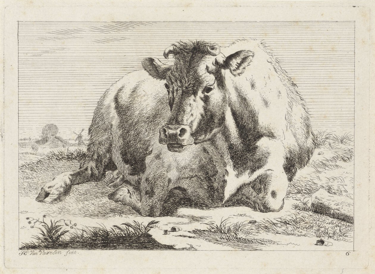 liggende ku Seks trykk etter tegninger av forskjellige mestere (serietittel) av Jacob Elias van Varelen