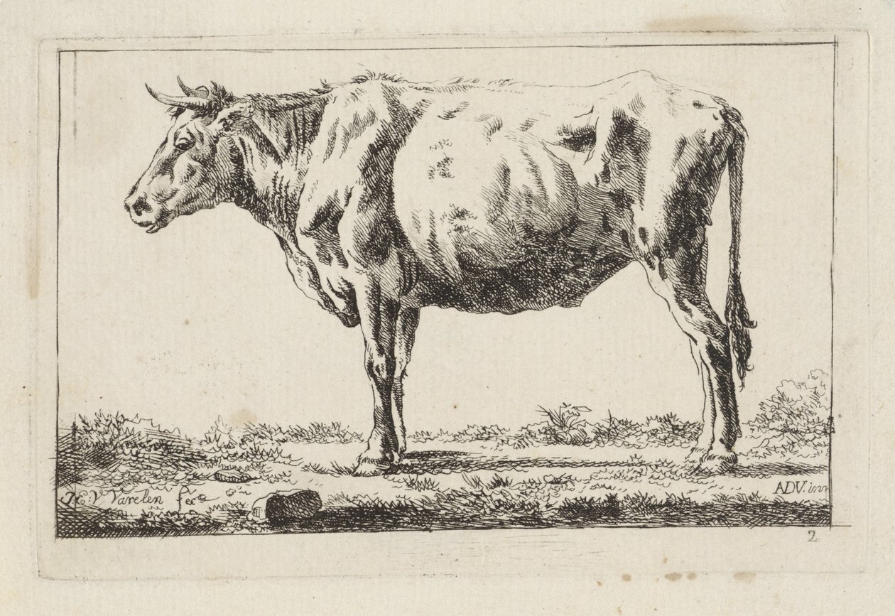 Stående ku, til venstre av Jacob Elias van Varelen