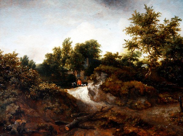 Et skogkledd sanddynelandskap (olje på panel) av Jacob van Ruisdael