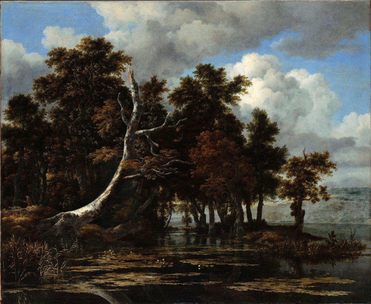 ""Eiker ved en innsjø med vannliljer" Maleri av Jacob Isaacksz van Ruisdael (1628/29-1682) Olje på lerret Dim 116,6x142 cm Staatliche Museen, Berlin av Jacob van Ruisdael