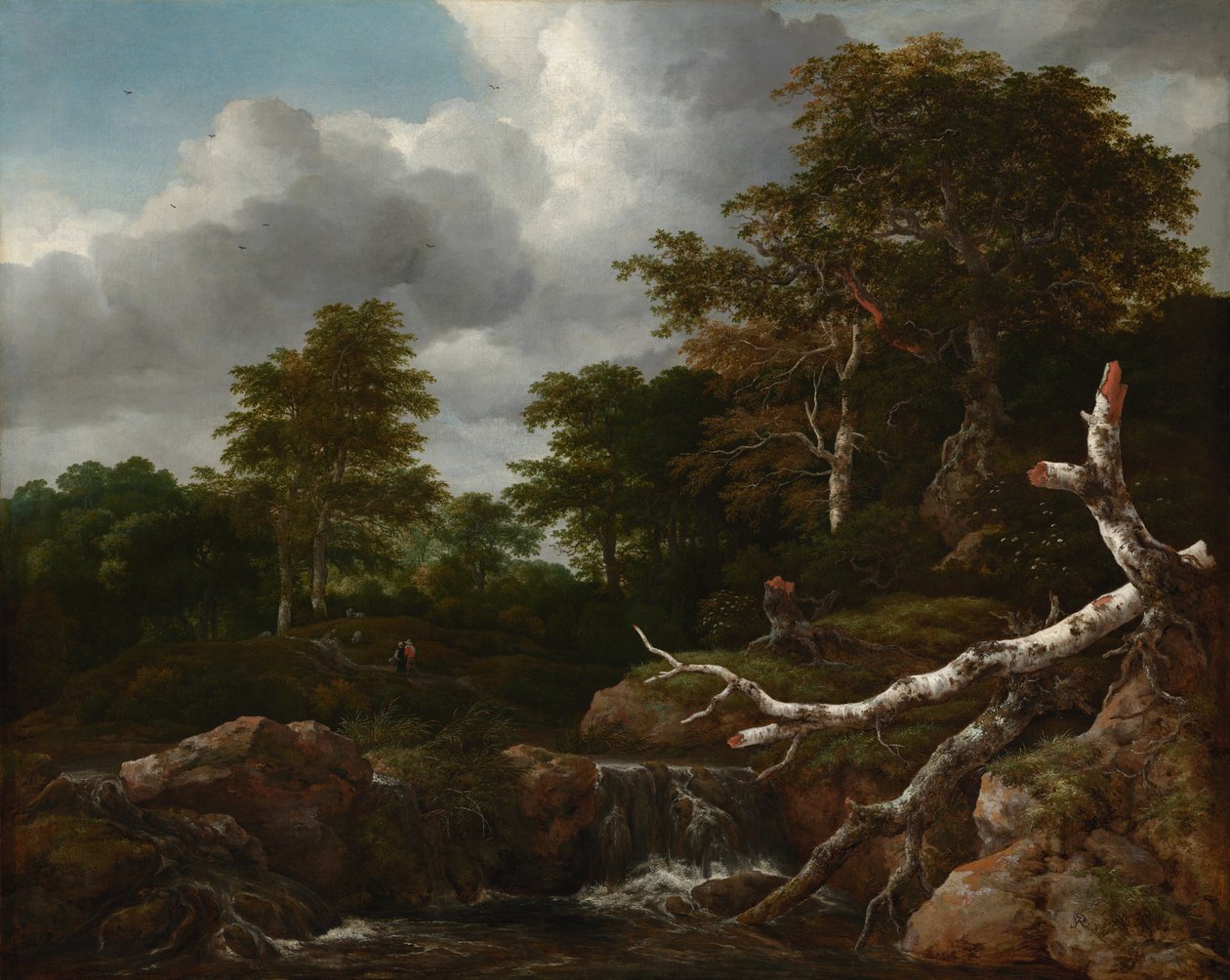 Forest Scene, c.1655 (oil on canvas)   1427203   no       norwegian Successfully Translated  Original: Portret van kunstenaar Peter Paul Rubens Portretten van kunstenaars (series title) Translat: Portret van kunstenaar Peter Paul Rubens Portretten van kuns av Jacob van Ruisdael