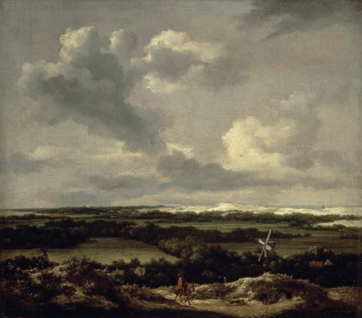 Landskap med sanddyner nær Haarlem (olje på lerret) av Jacob van Ruisdael