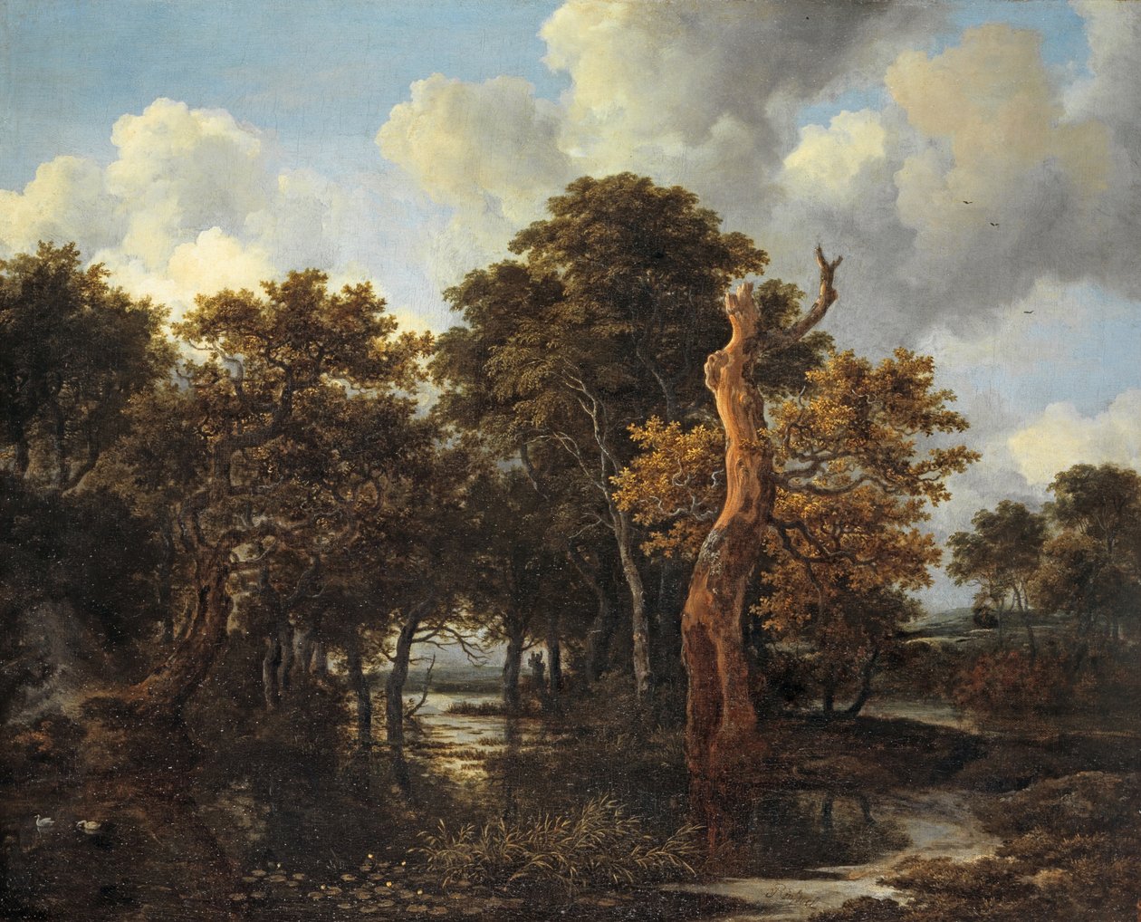 Tremyrlandskap med dødt tre, ca. 1665 av Jacob van Ruisdael