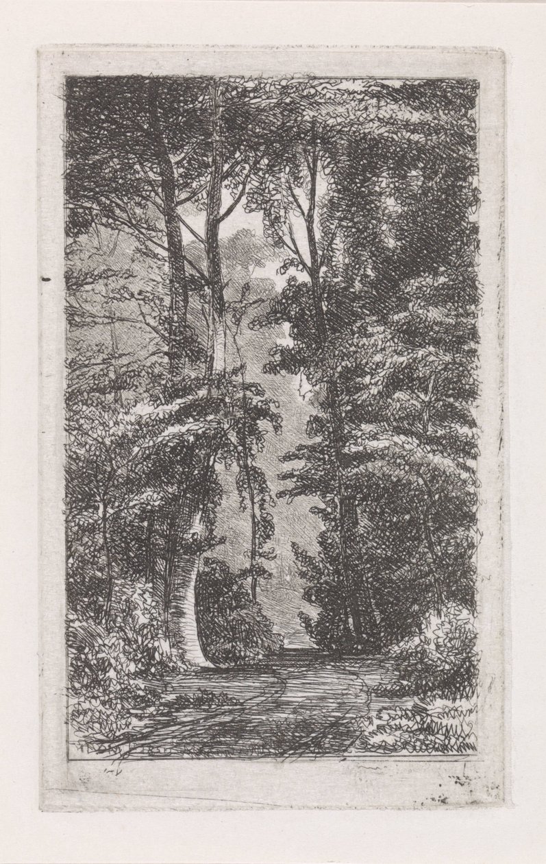 Boslaan av Jacob Jan van der Maaten