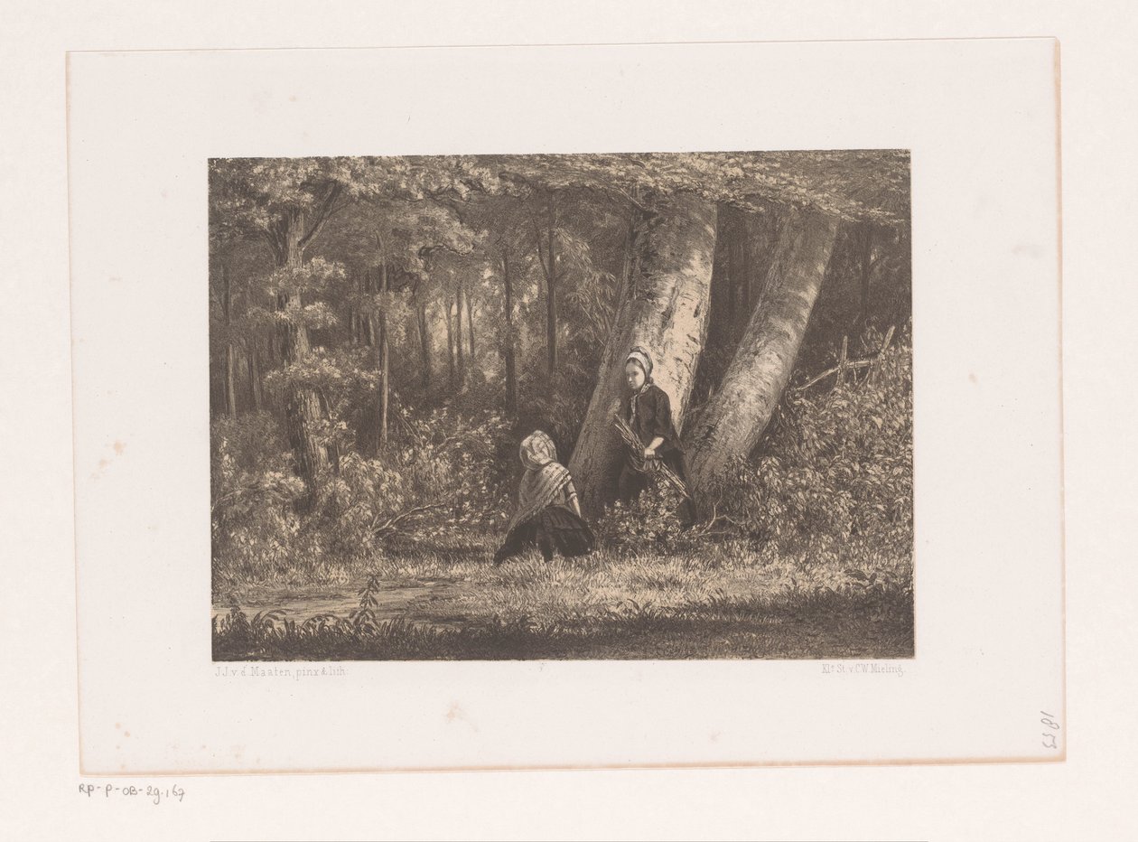 To jenter i skogen av Jacob Jan van der Maaten