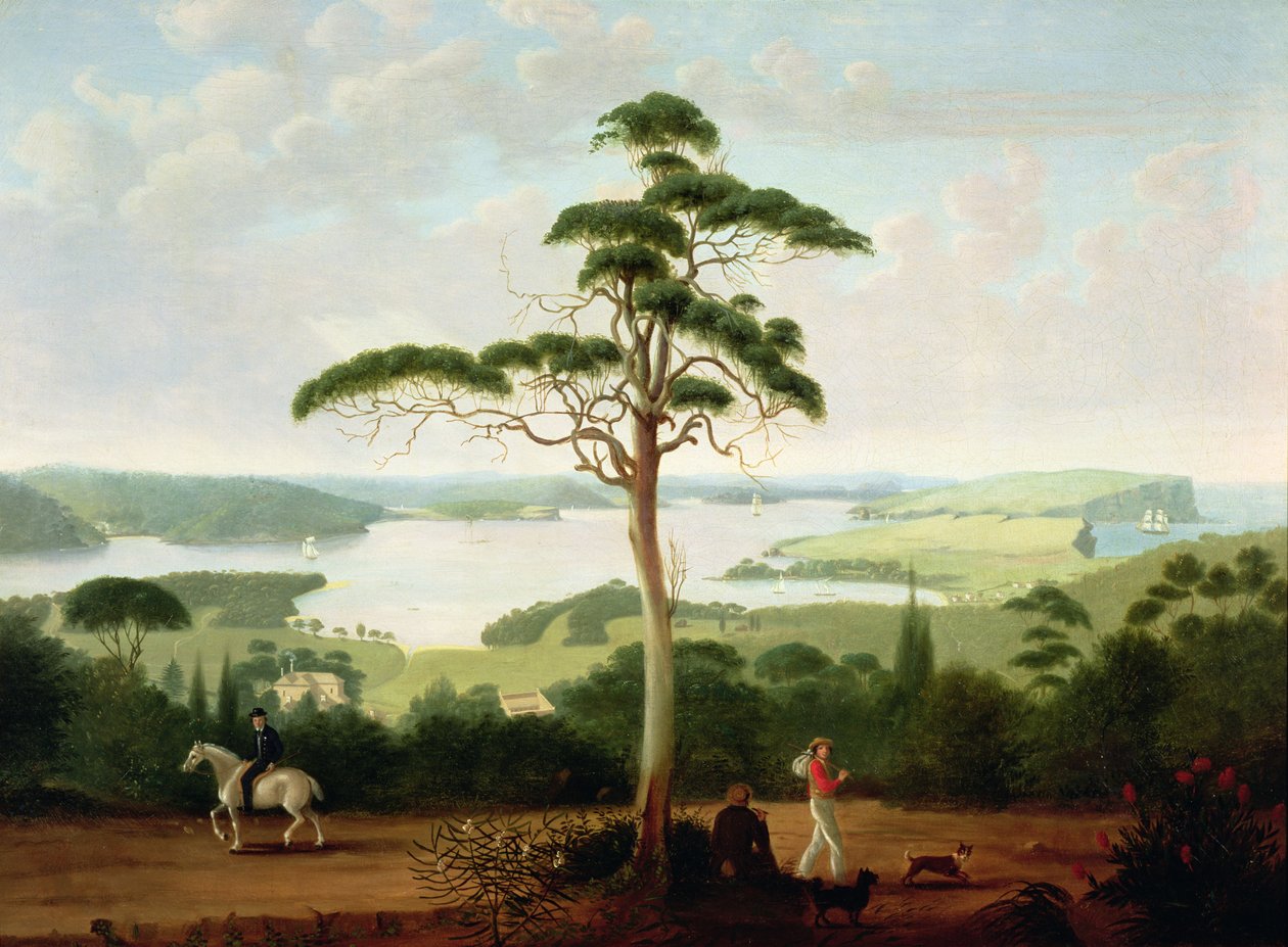 Sydney havn ser mot hodene, 1848 av Jacob Janssen
