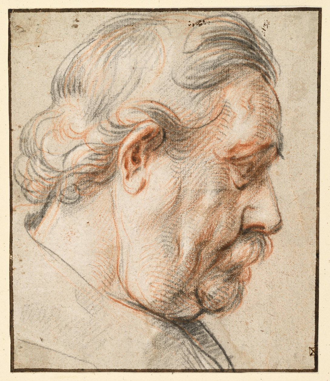 Hodet av en mann i profil mot høyre av Jacob Jordaens