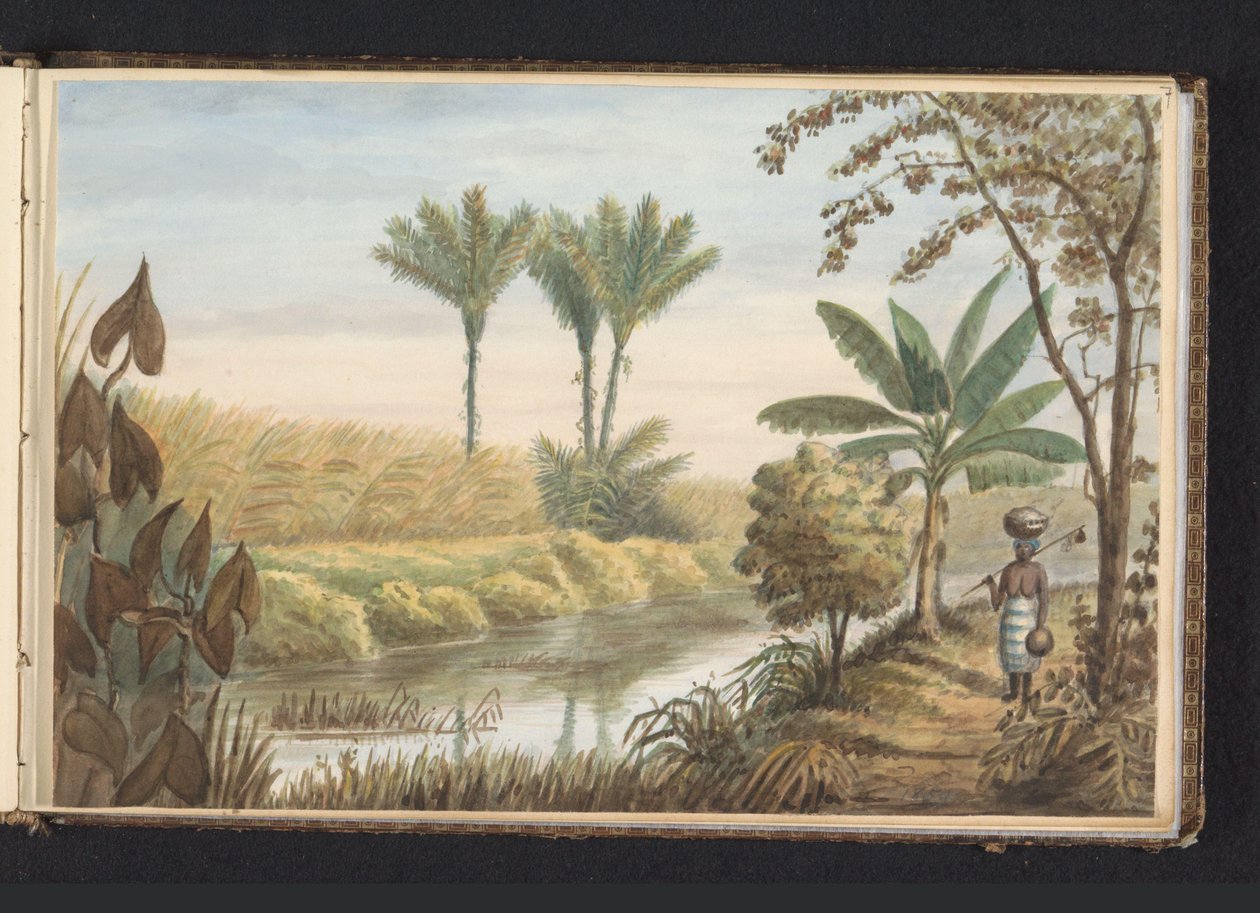 Utsikt over åker med sukkerrørplantasje Visserszorg Felt med sukkerrør (tittel på objekt) Utsikt i bakken ved Visserszorg (tittel på objekt) Album med tegninger av Surinam, s.7 (50) (serietittel) av Jacob Marius Adriaan Martini van Geffen