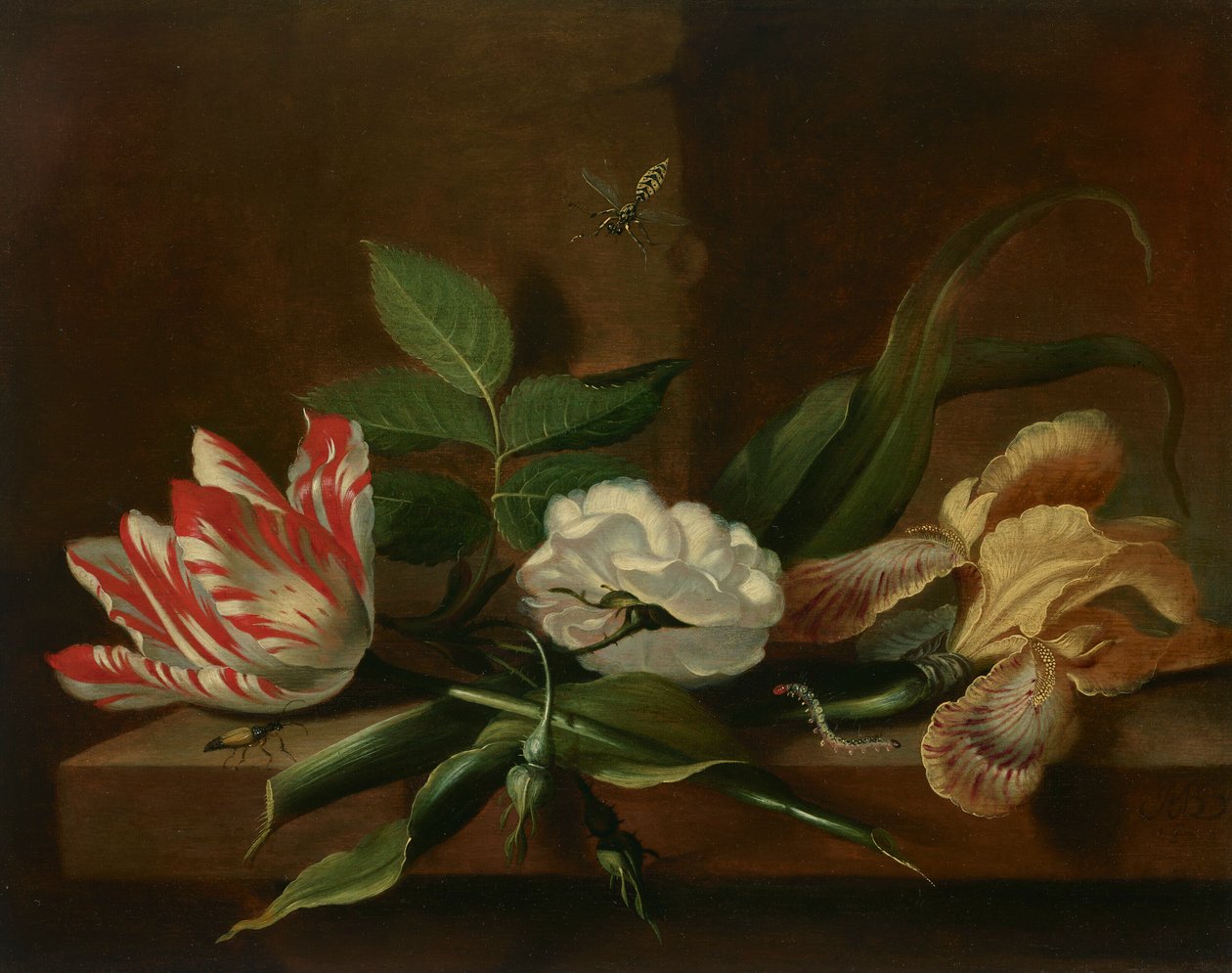  av Jacob Marrel