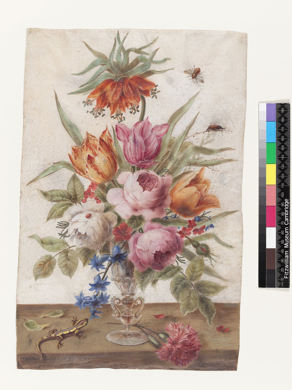 Venetiansk glassbeger som inneholder blomster med øgle og insekter, 1634 (gouache på vellum) av Jacob Marrel