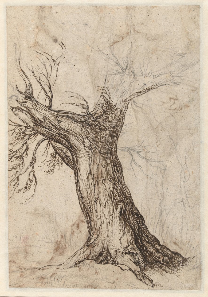 Kastanjetre med noen trær rundt av Jacob de Gheyn (II)
