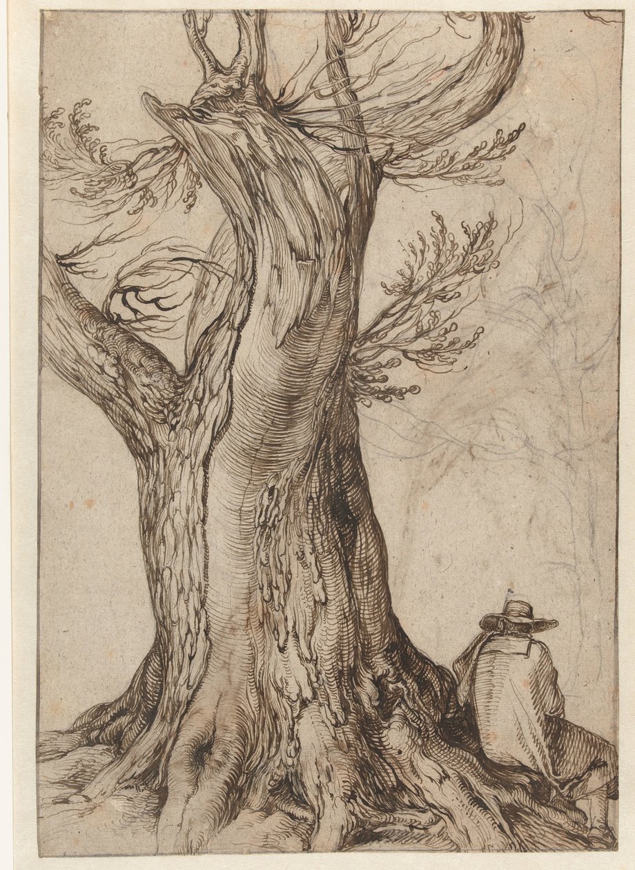 Studie av en trestamme Kastanjetre med mann som sitter på røttene av Jacob de Gheyn (II)