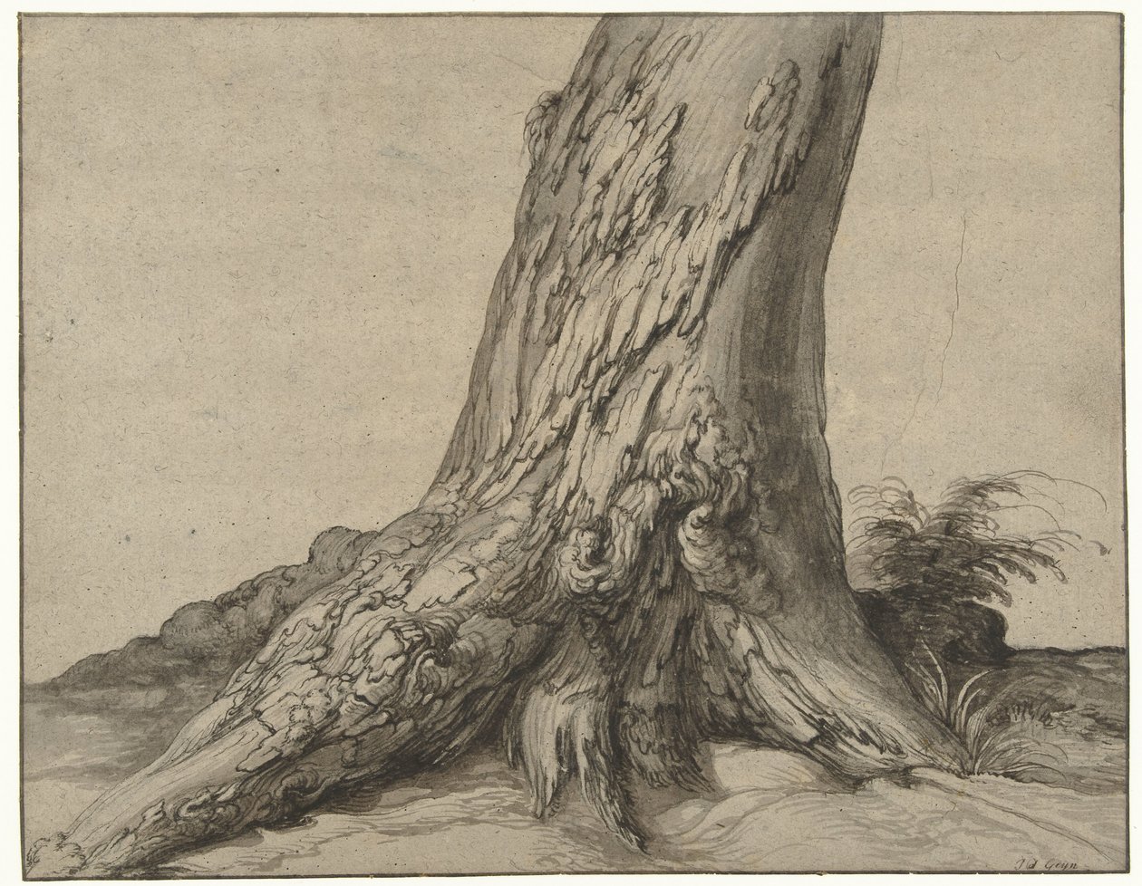 Studie av en trestamme med røtter Studie av stammen til et tre med røtter av Jacob de Gheyn (II)