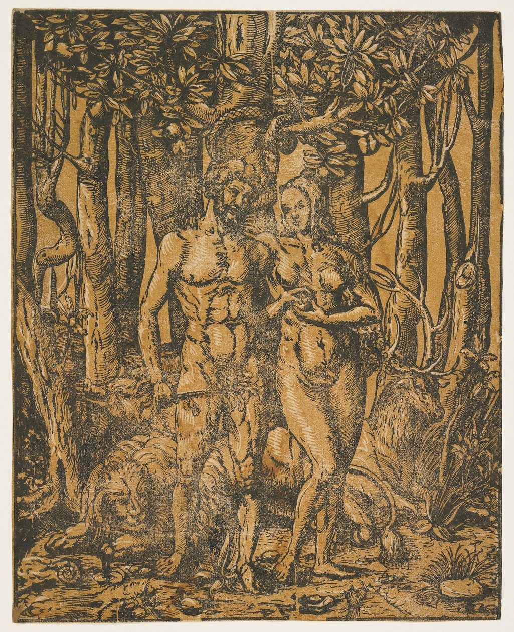 Adam og Eva, 1500-tallet av Jacob the Elder attr. to Lucius