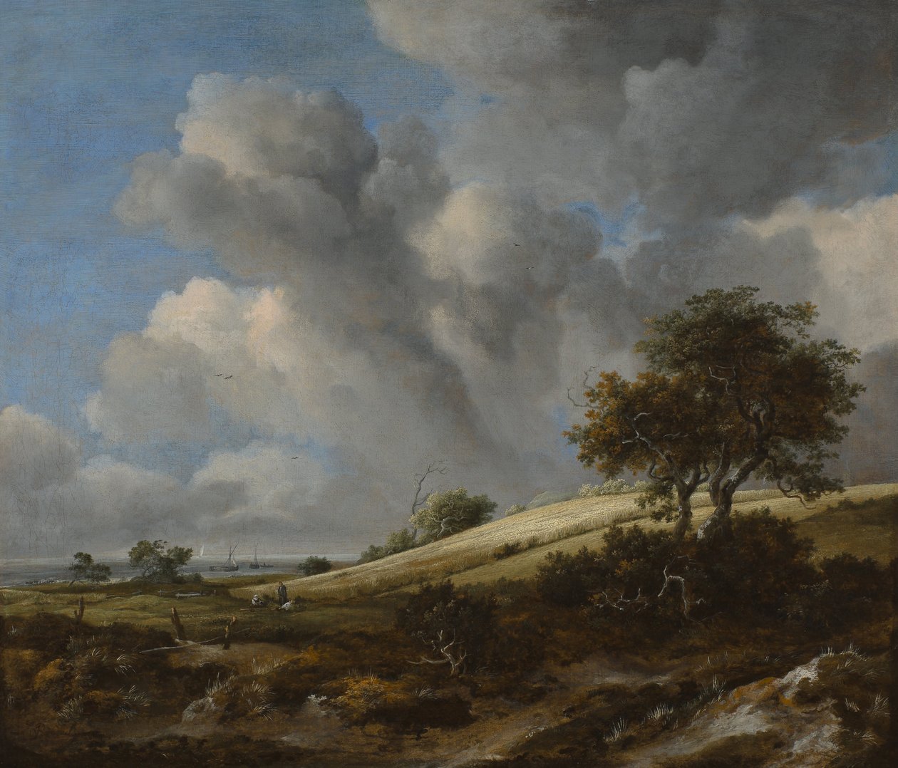 En kornåker med Zuiderzee i bakgrunnen, ca. 1660 av Jacob van Ruisdael