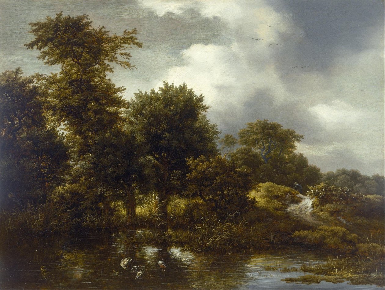 Skoglandskap med en dam av Jacob van Ruisdael