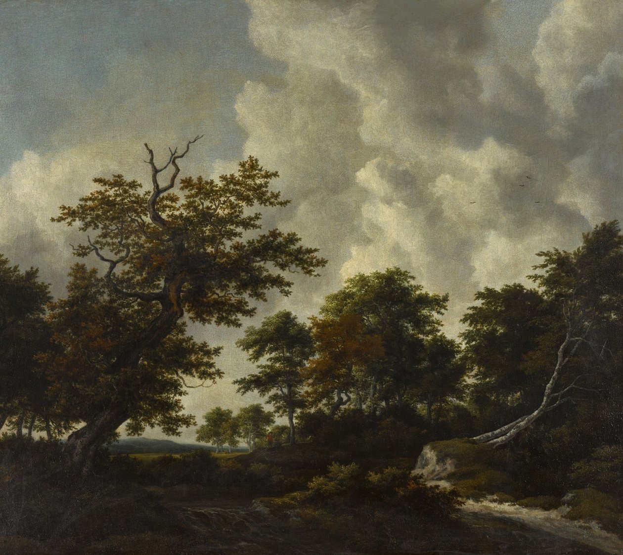  av Jacob van Ruisdael