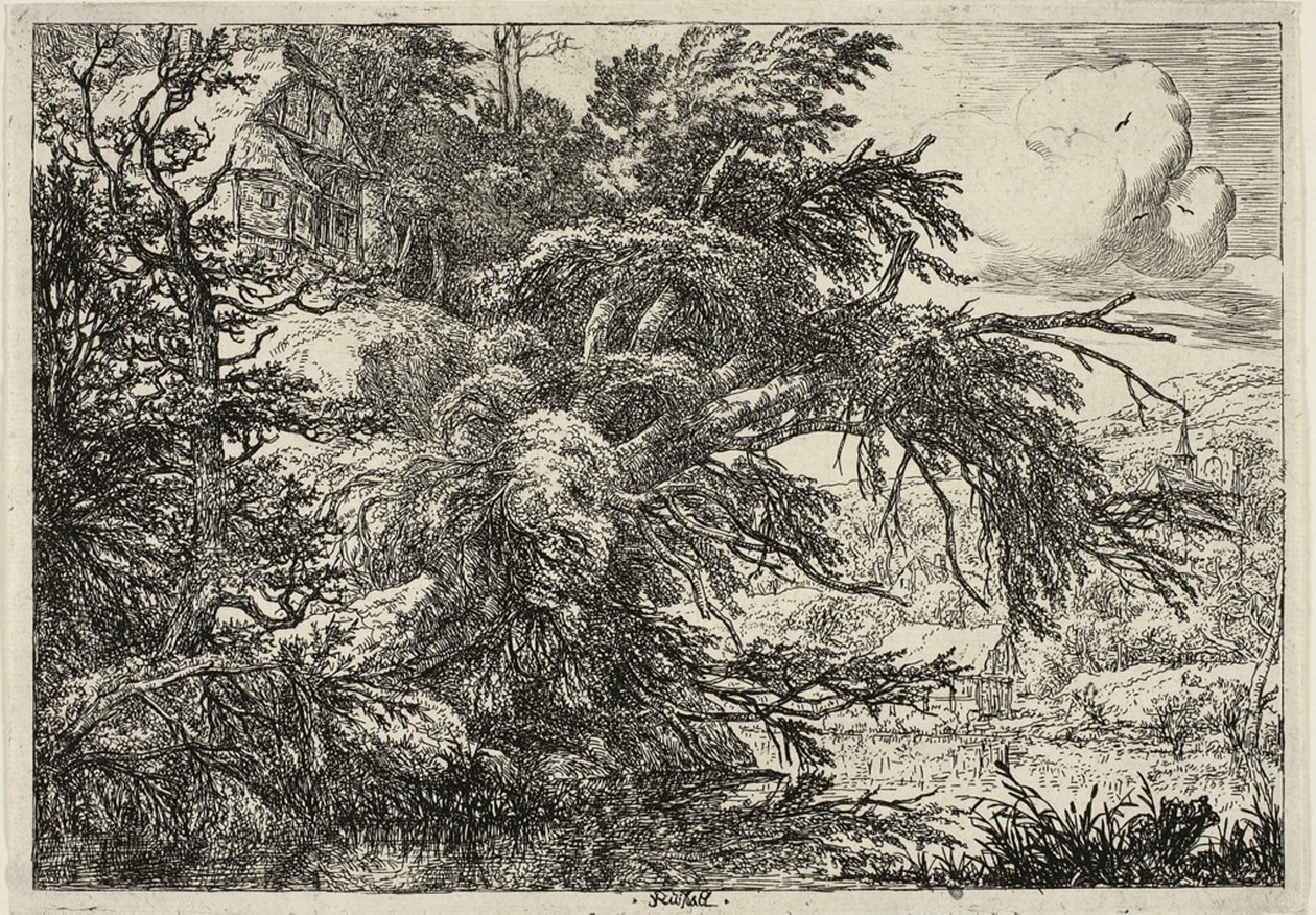 Hytte på toppen av en bakke av Jacob van Ruisdael