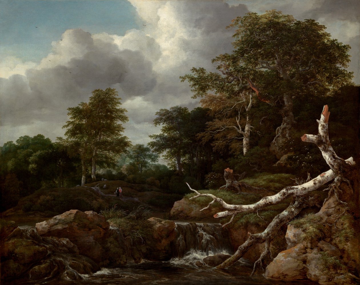 Skogscene, ca. 1655. av Jacob van Ruisdael