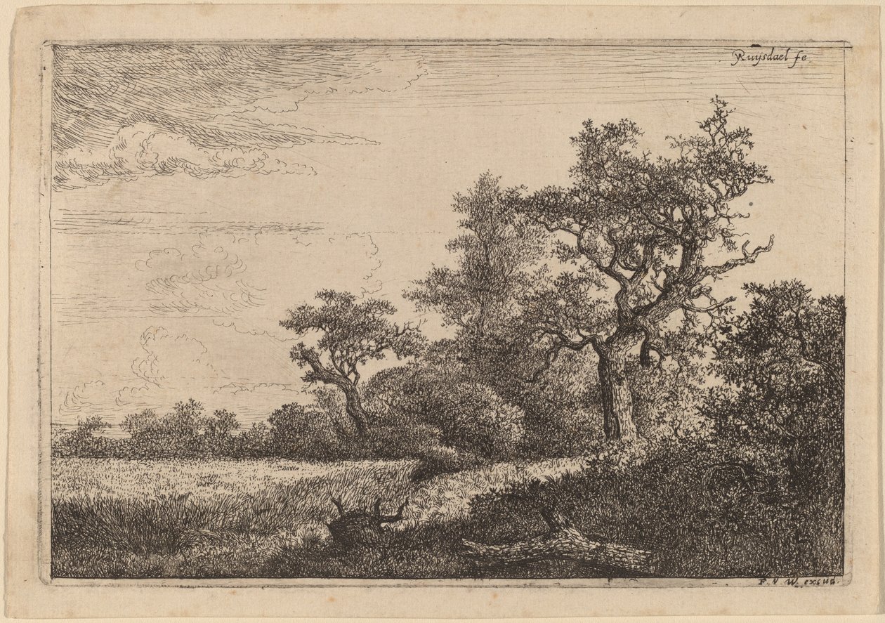 Kornåker på kanten av en skog (maisåker) av Jacob van Ruisdael