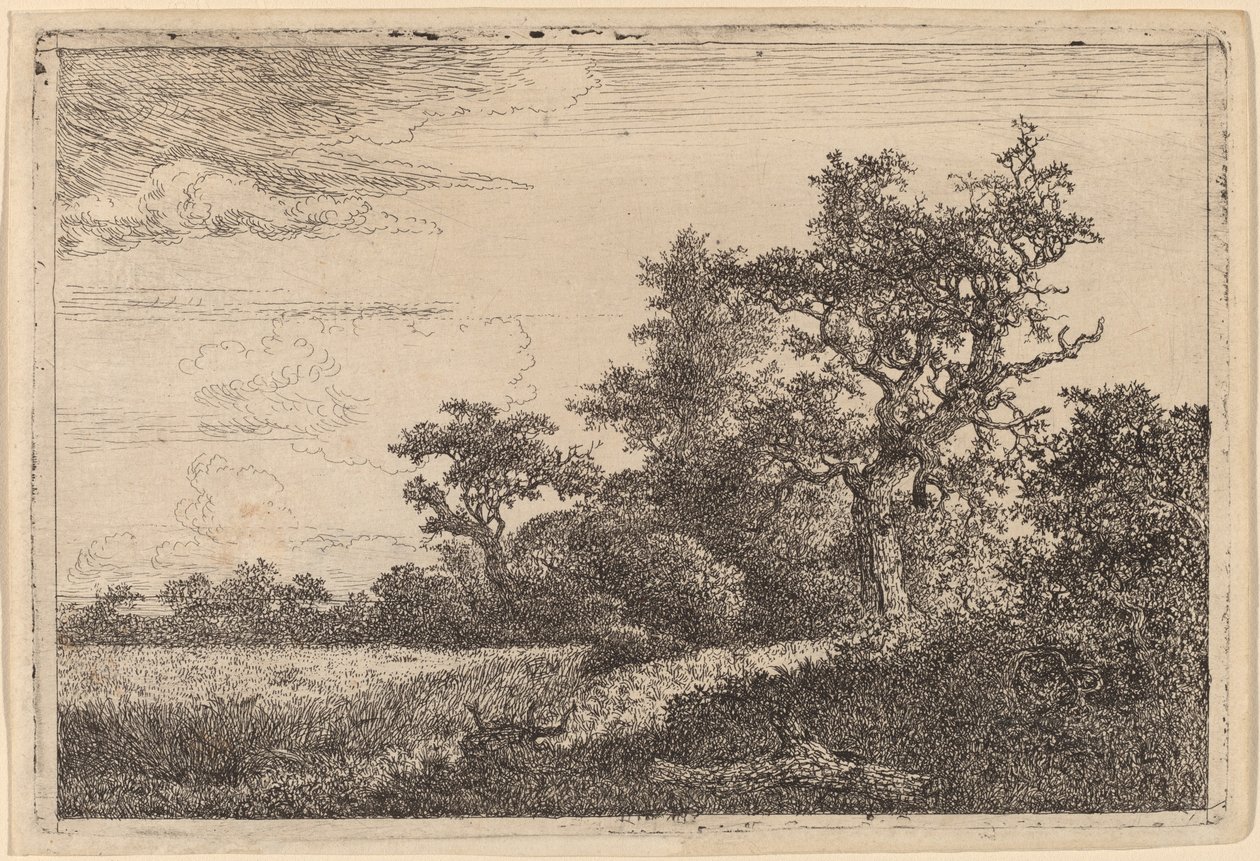 Kornåker på kanten av en skog (maisåker) av Jacob van Ruisdael