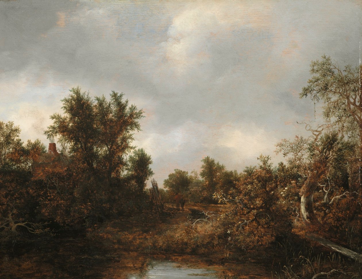  av Jacob van Ruisdael