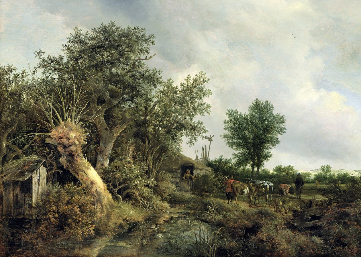 Landskap med hytte, 1646 av Jacob van Ruisdael