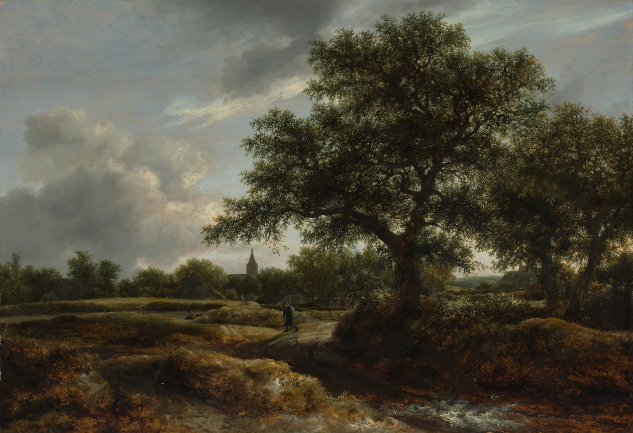 Landskap med en landsby i det fjerne, 1646. av Jacob van Ruisdael