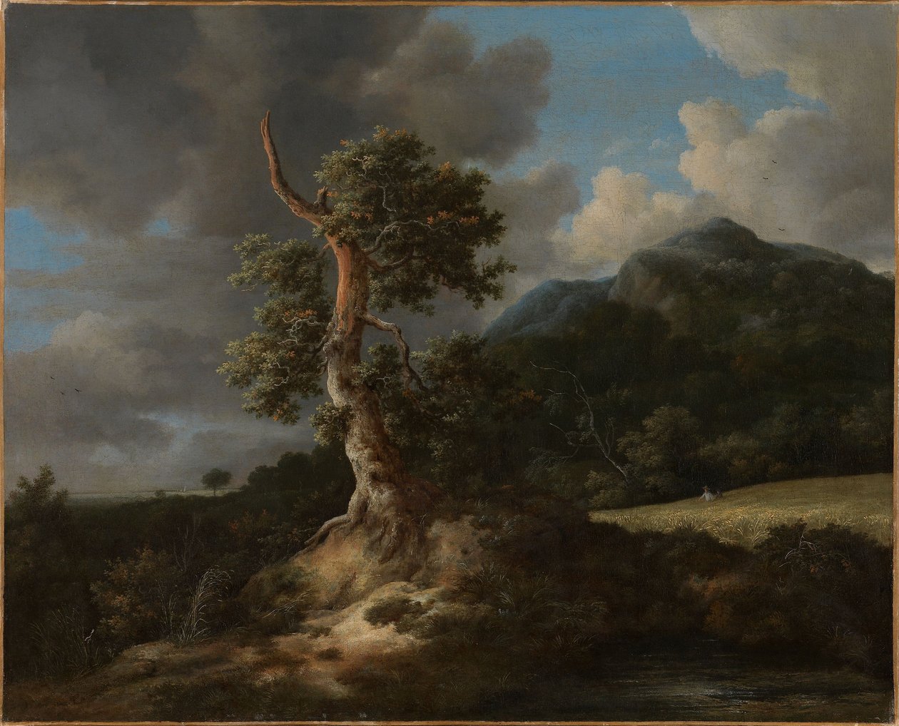 Fjellandskap med en lyntruffet eik av Jacob van Ruisdael