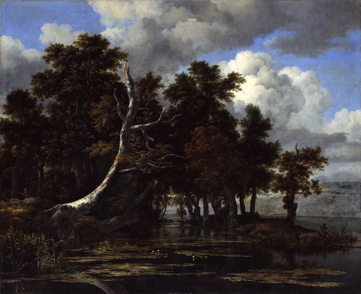  av Jacob van Ruisdael