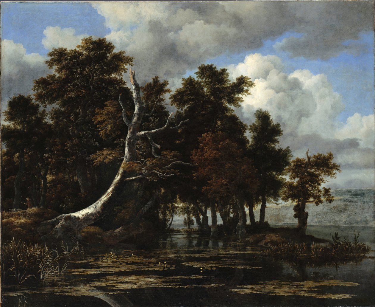 Eiker ved en innsjø med vannliljer av Jacob van Ruisdael