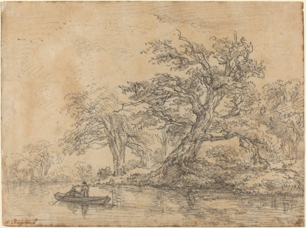Gamle trær langs en bank av Jacob van Ruisdael
