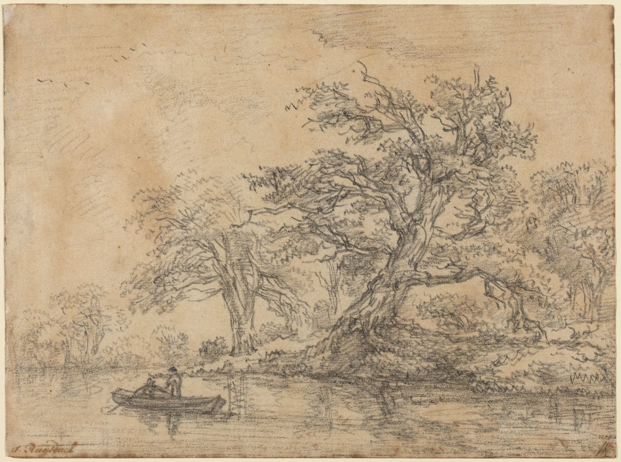 Gamle trær langs en bredd av Jacob van Ruisdael
