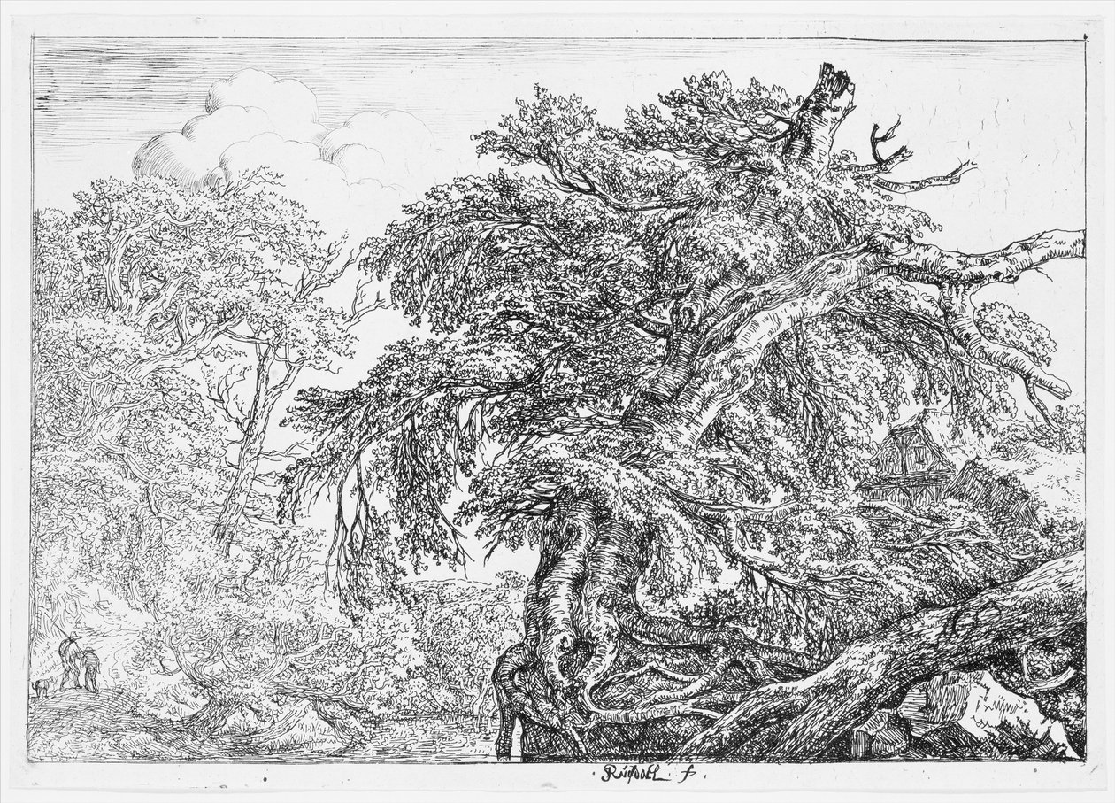 Den store bøken av Jacob van Ruisdael