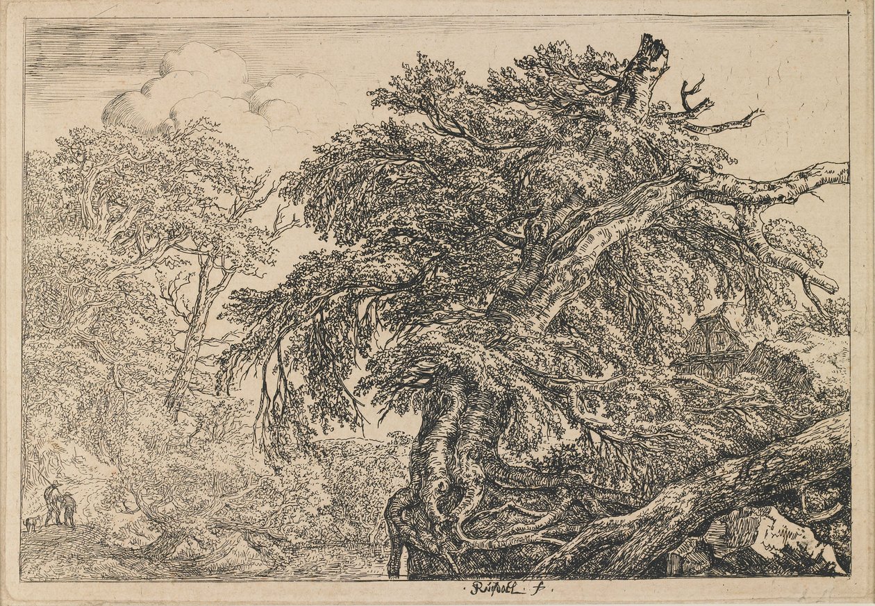 Det store bøketreet med to menn og en hund av Jacob van Ruisdael