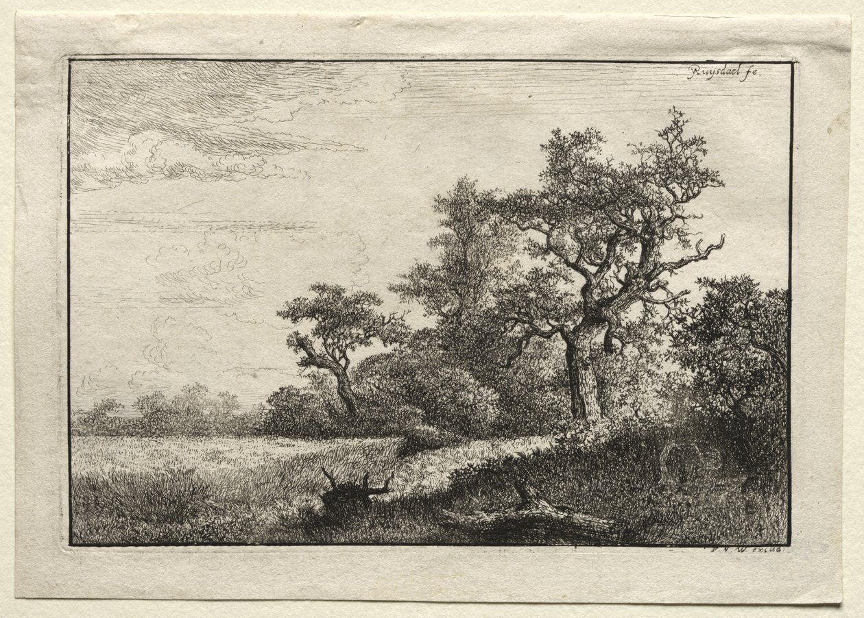 Hvetefeltet av Jacob van Ruisdael